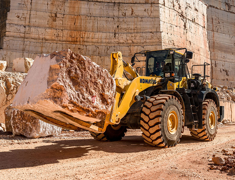 WA500-8 Stone Handler 