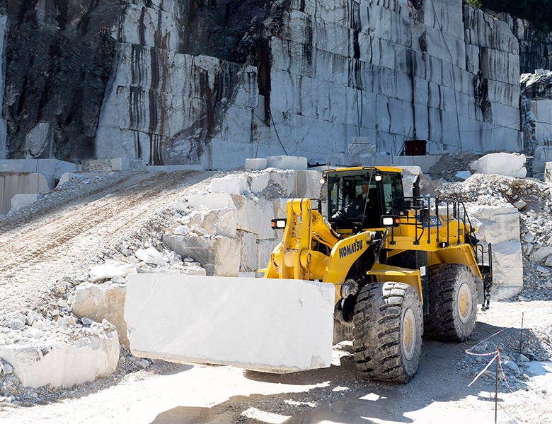 WA600-8 Stone Handler