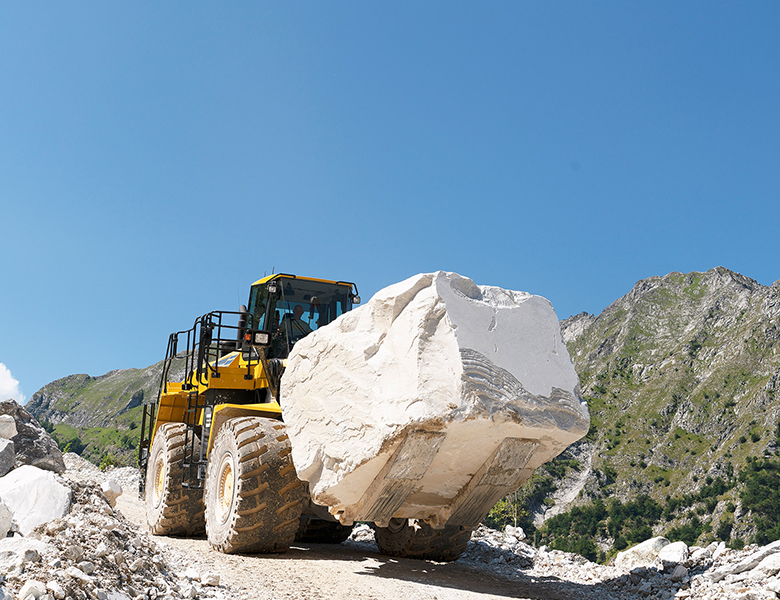 WA600-8 Stone Handler